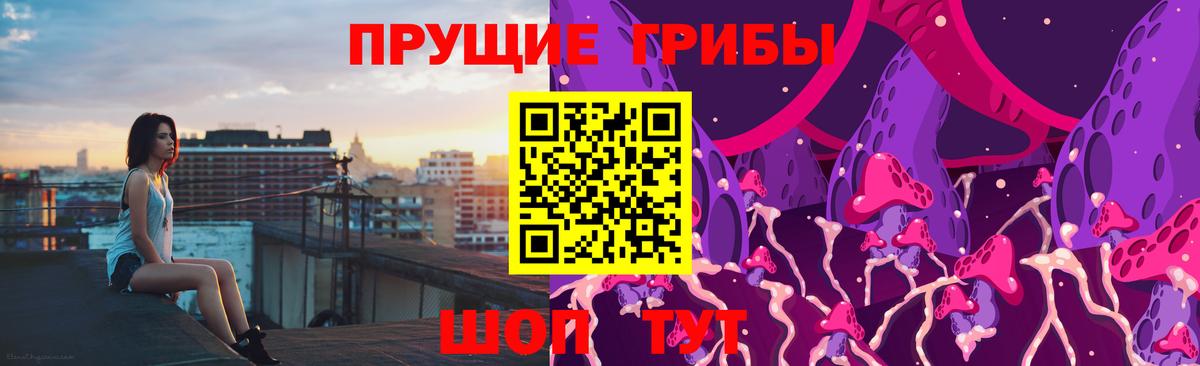 Галлюциногенные грибы прущие грибы Сибай
